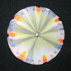 Paper Chromatography