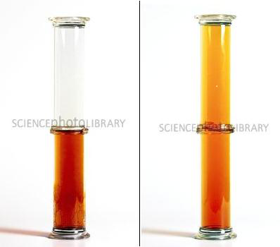 Diffusion Experiment 1